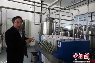 科技赋能，青稞焕新 西藏以创新技术驱动特色产业多元化发展